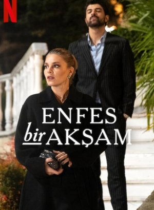 Восхитительный вечер